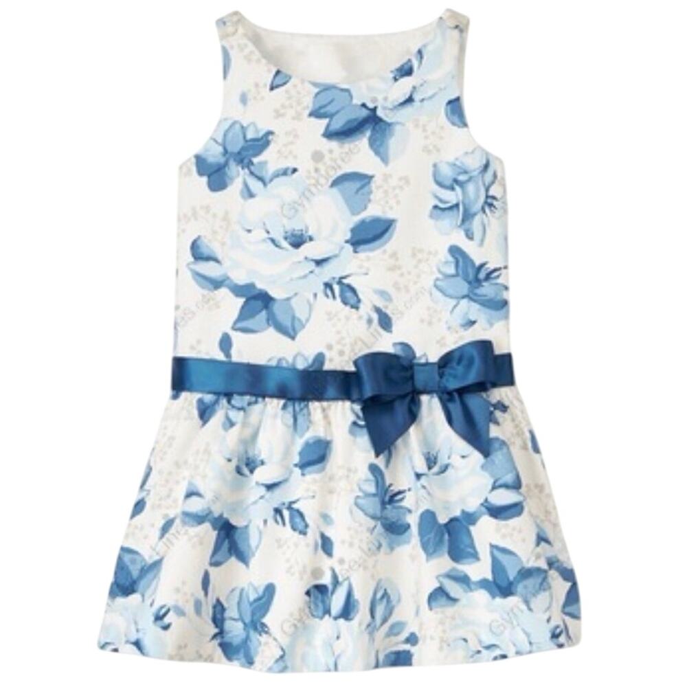 Charming Janie & Jack Bow Rose Floral Jumper Dress 3-6 months